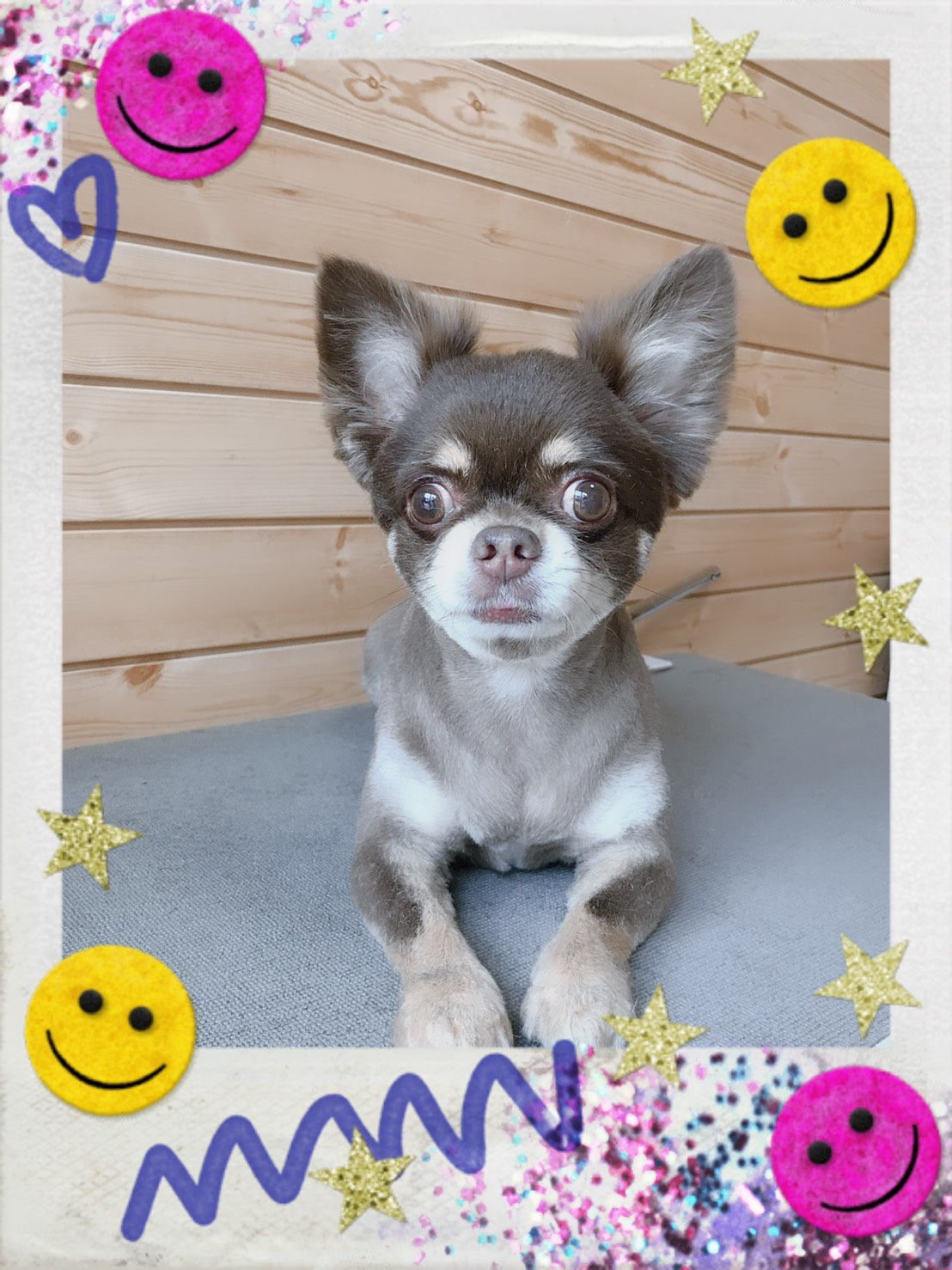 トリミング写真