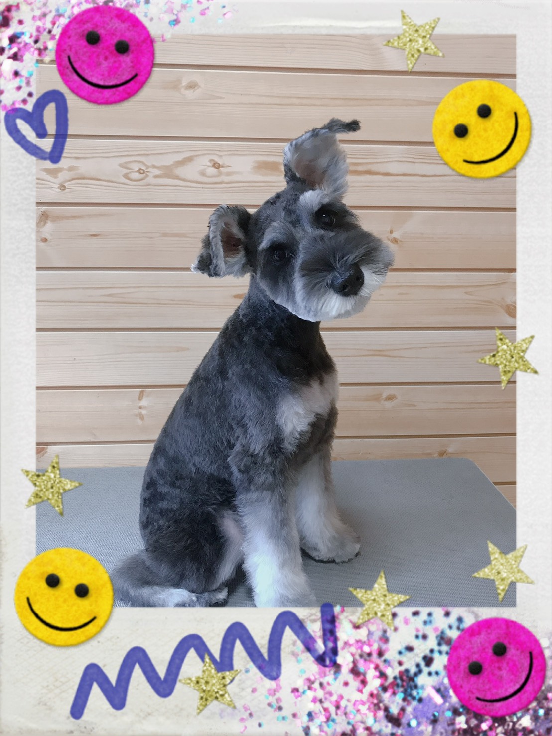 トリミング写真