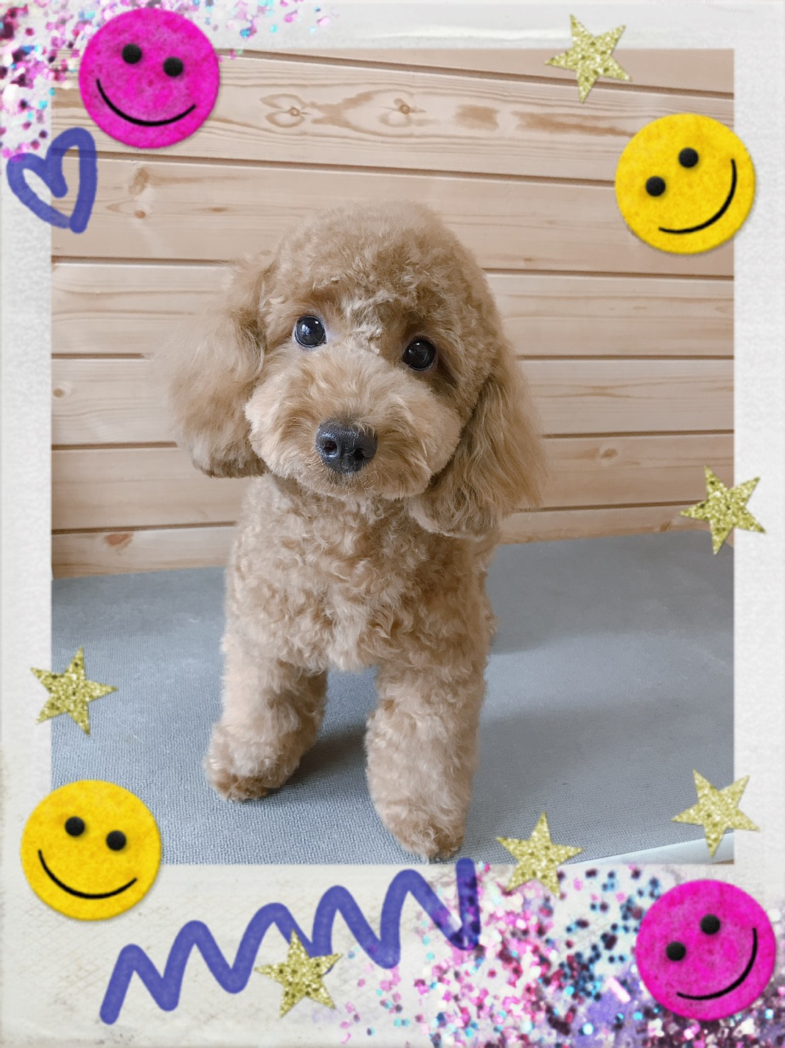 トリミング写真