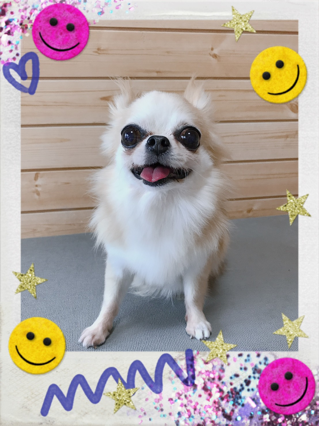 トリミング写真