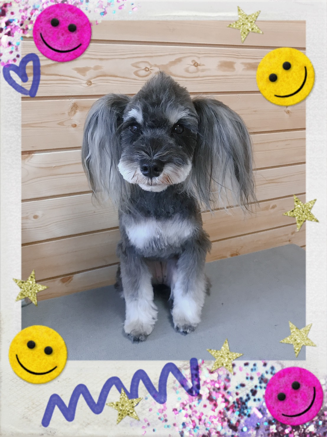 トリミング写真