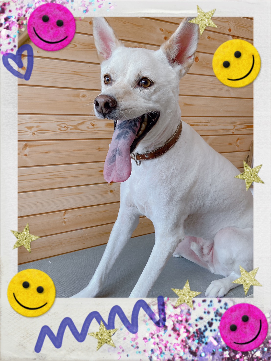 トリミング写真