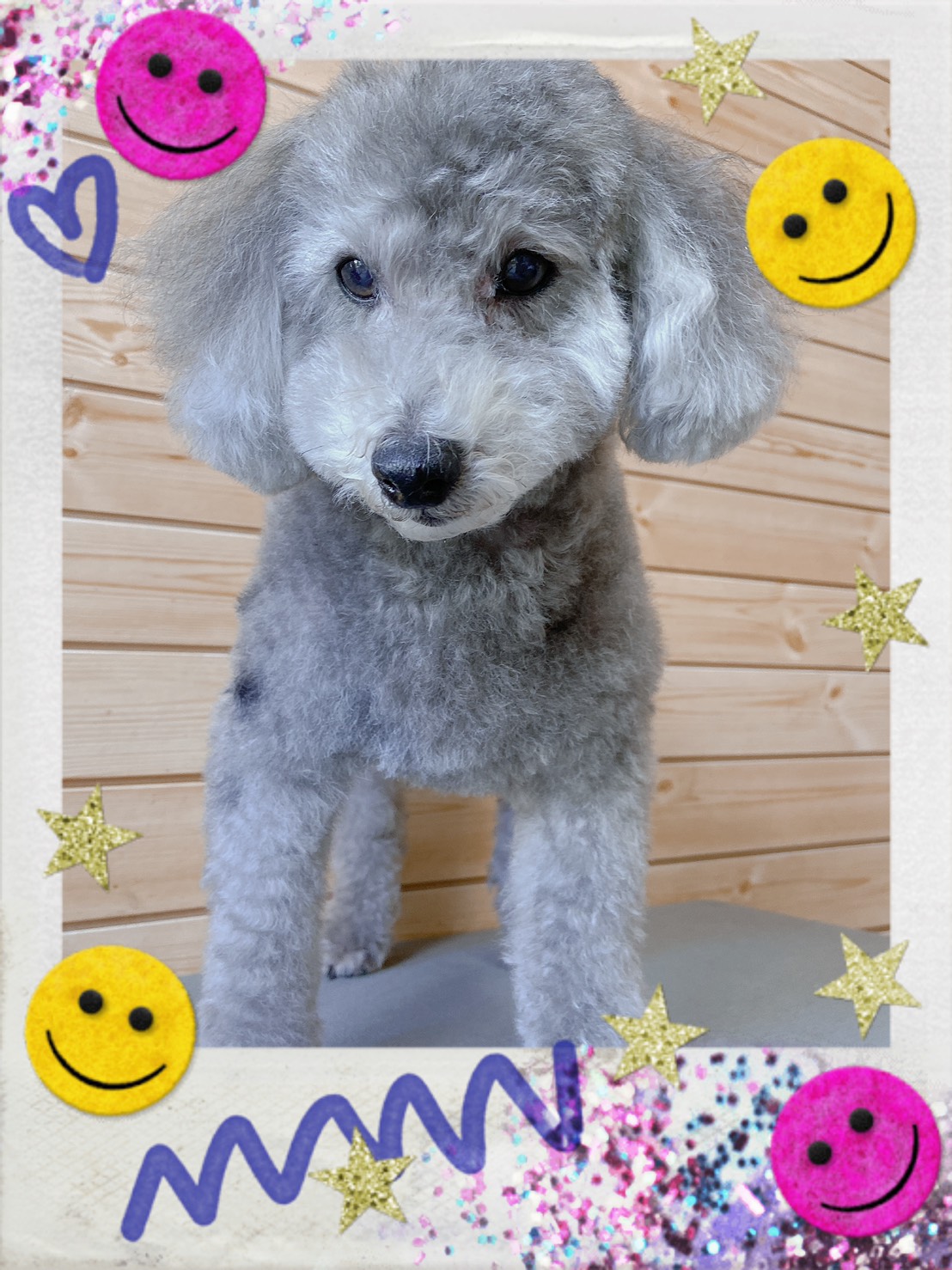 トリミング写真