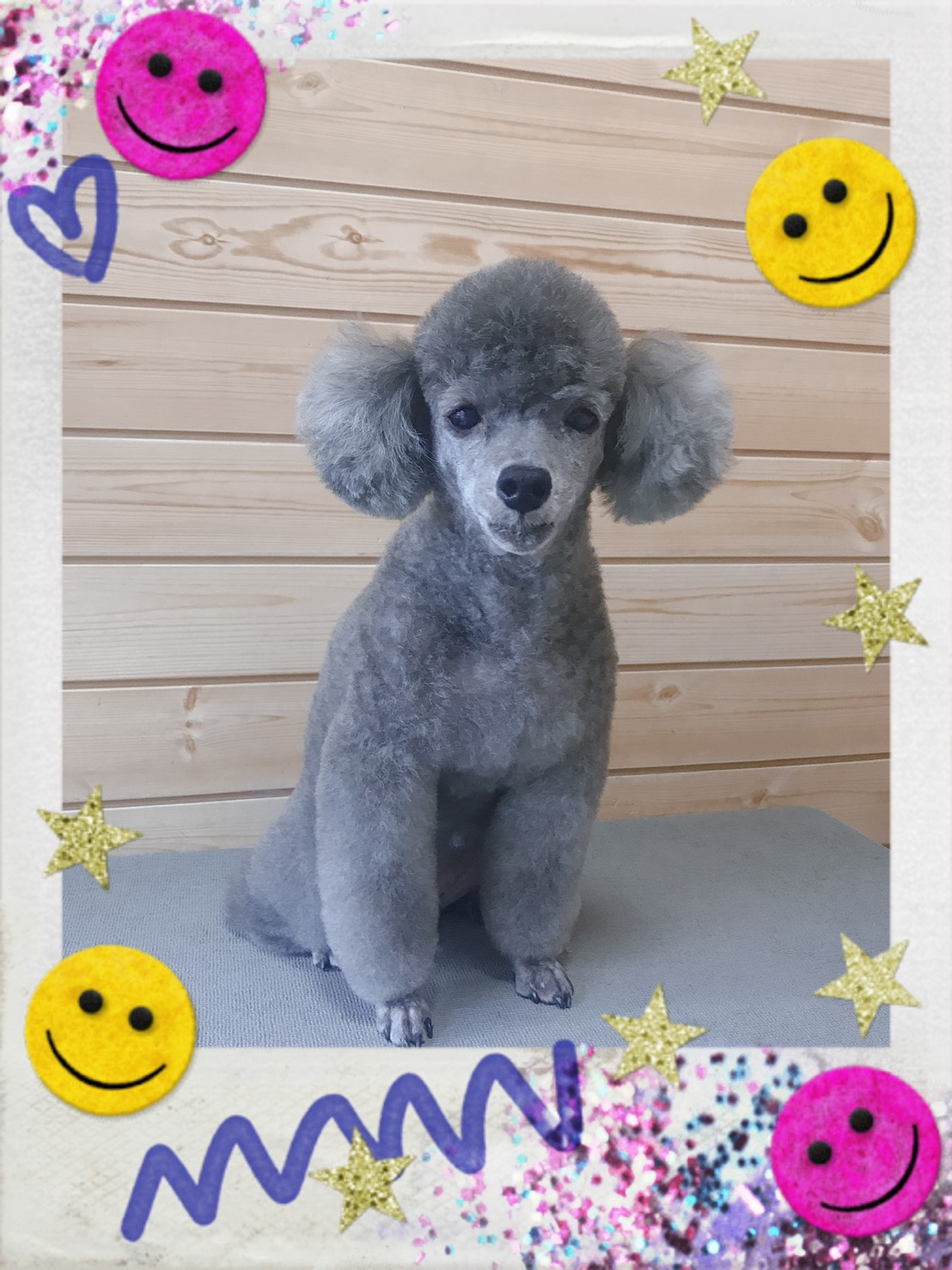 トリミング写真