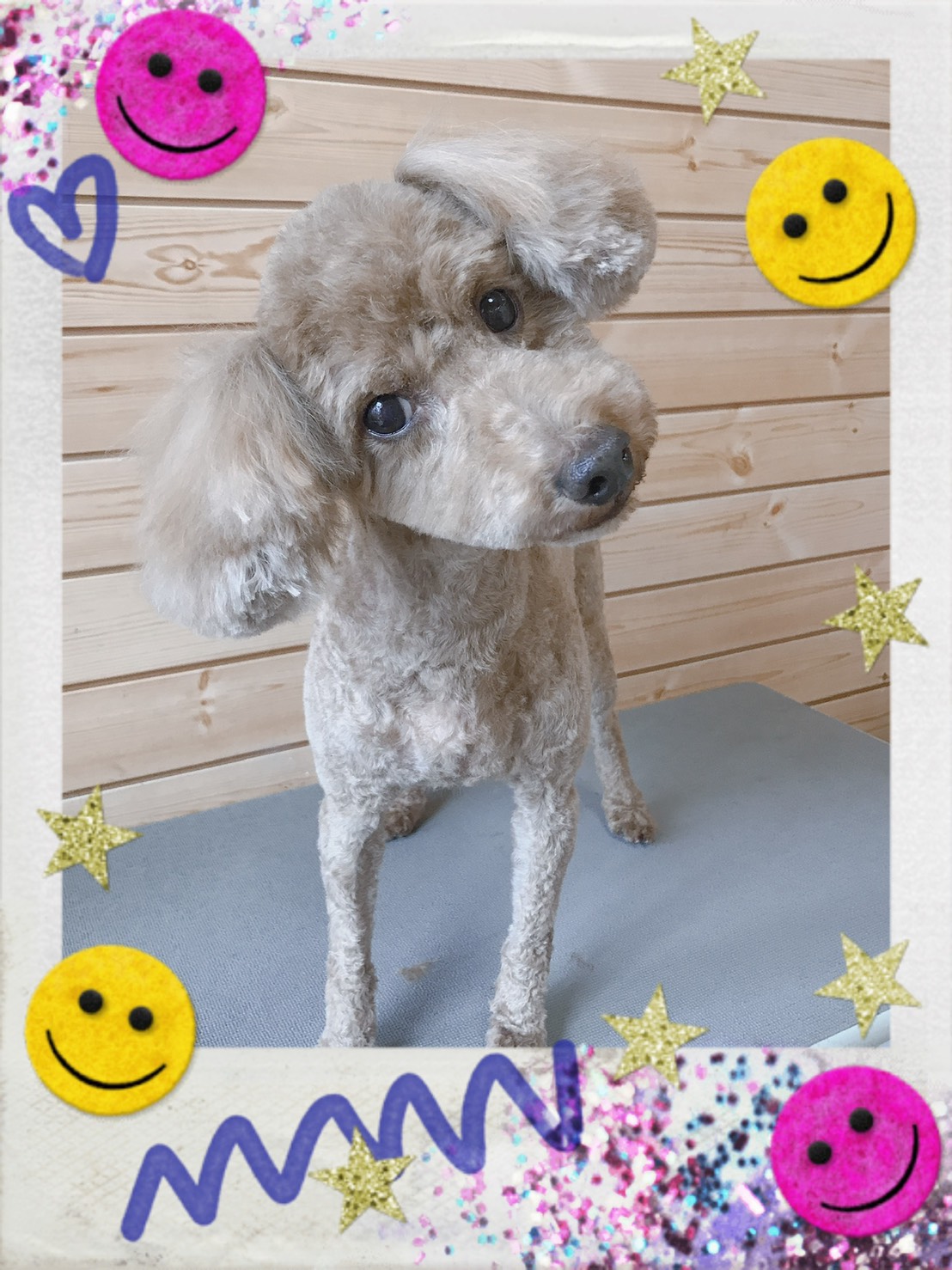 トリミング写真