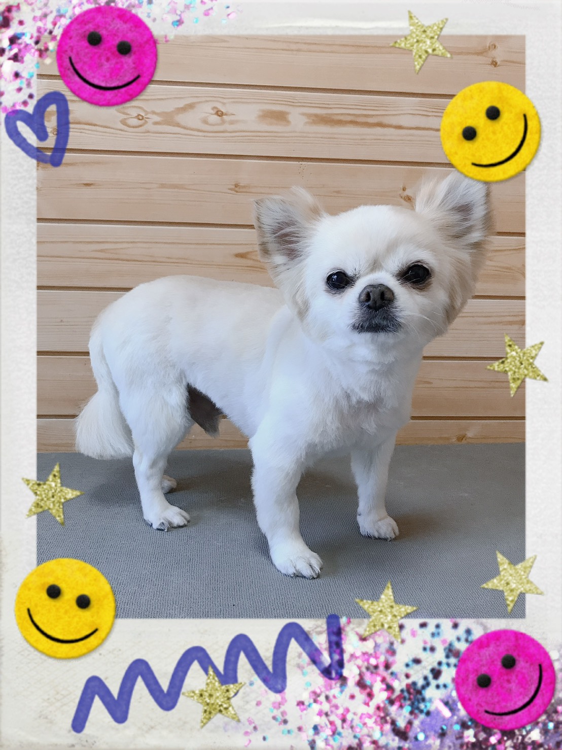 トリミング写真