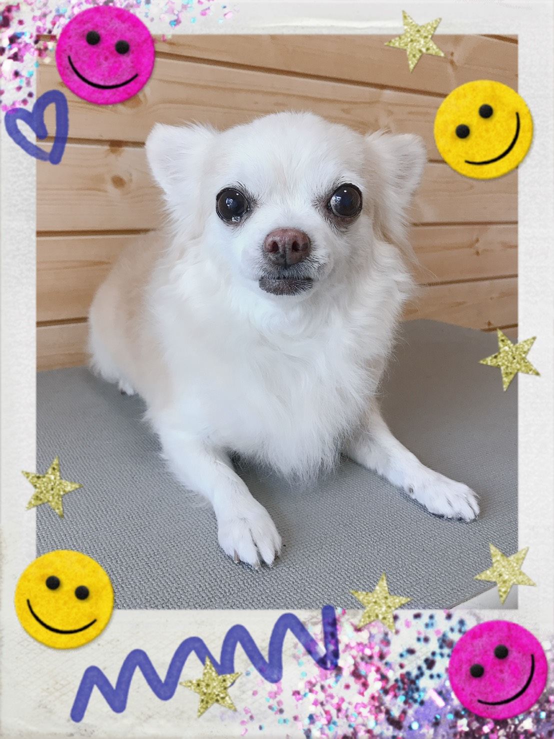 トリミング写真