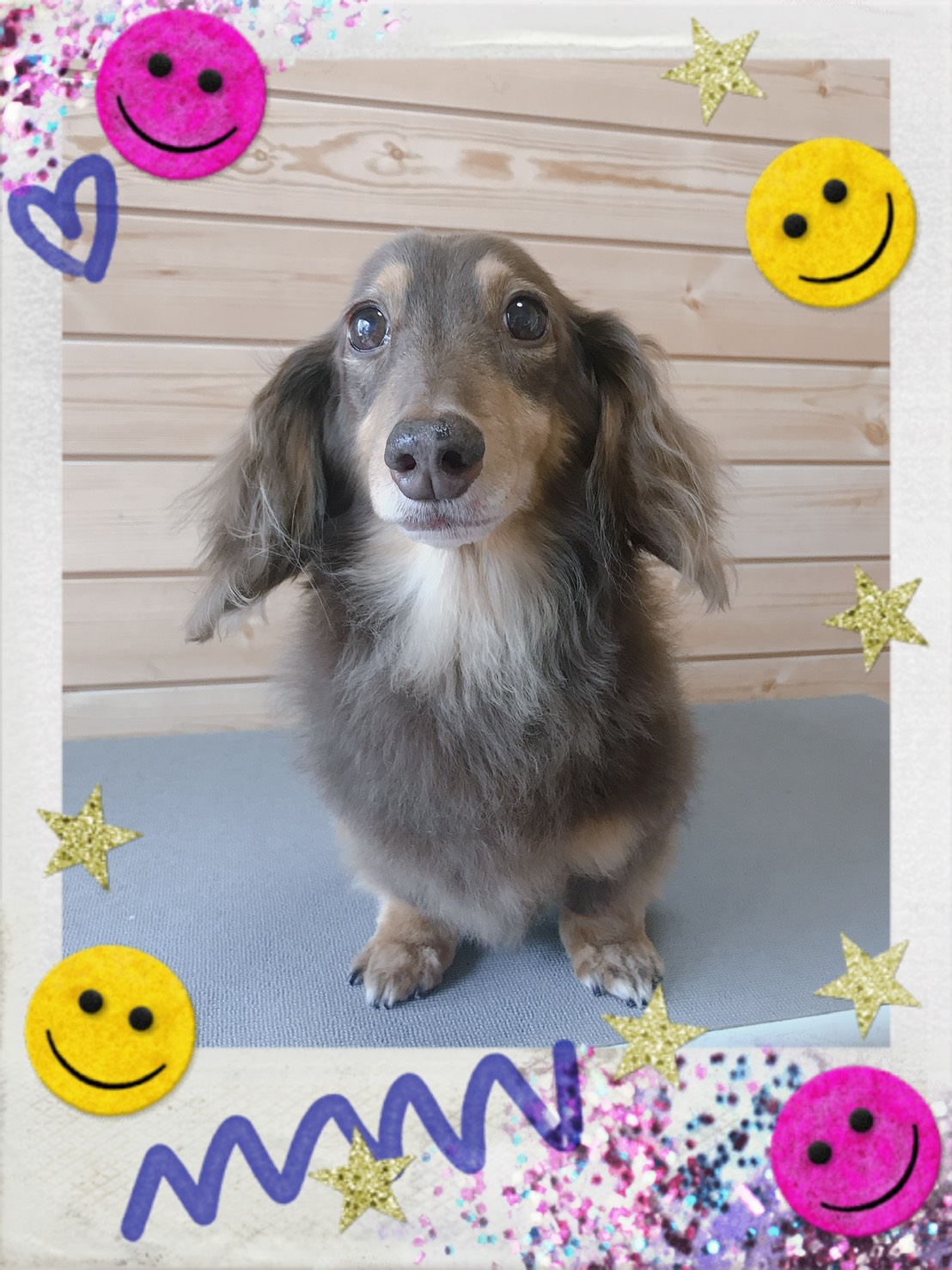 トリミング写真