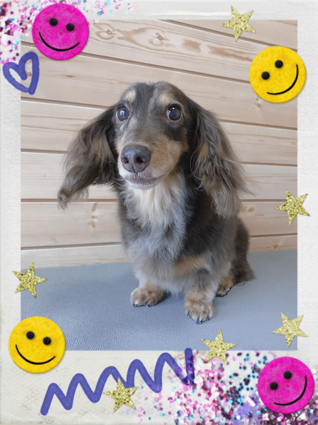 トリミング写真