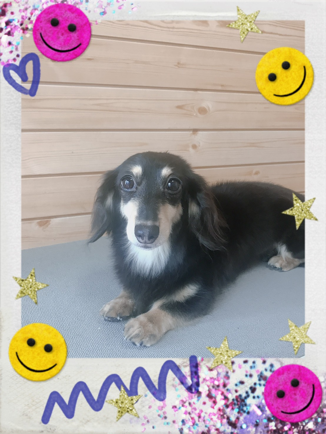 トリミング写真