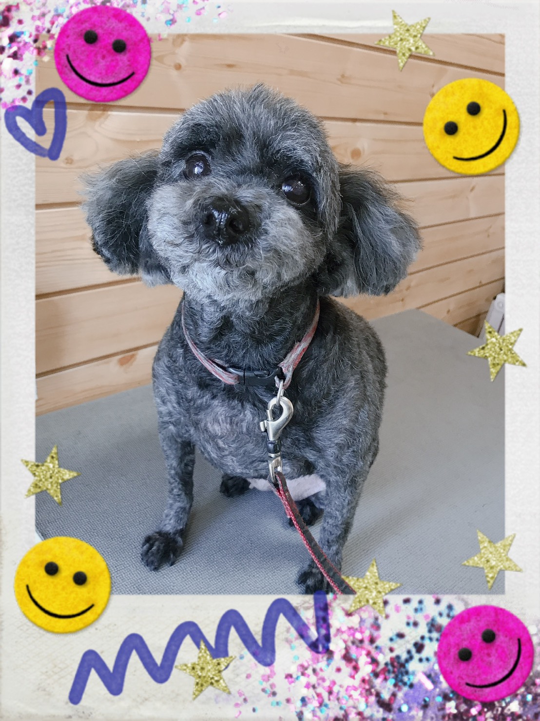 トリミング写真