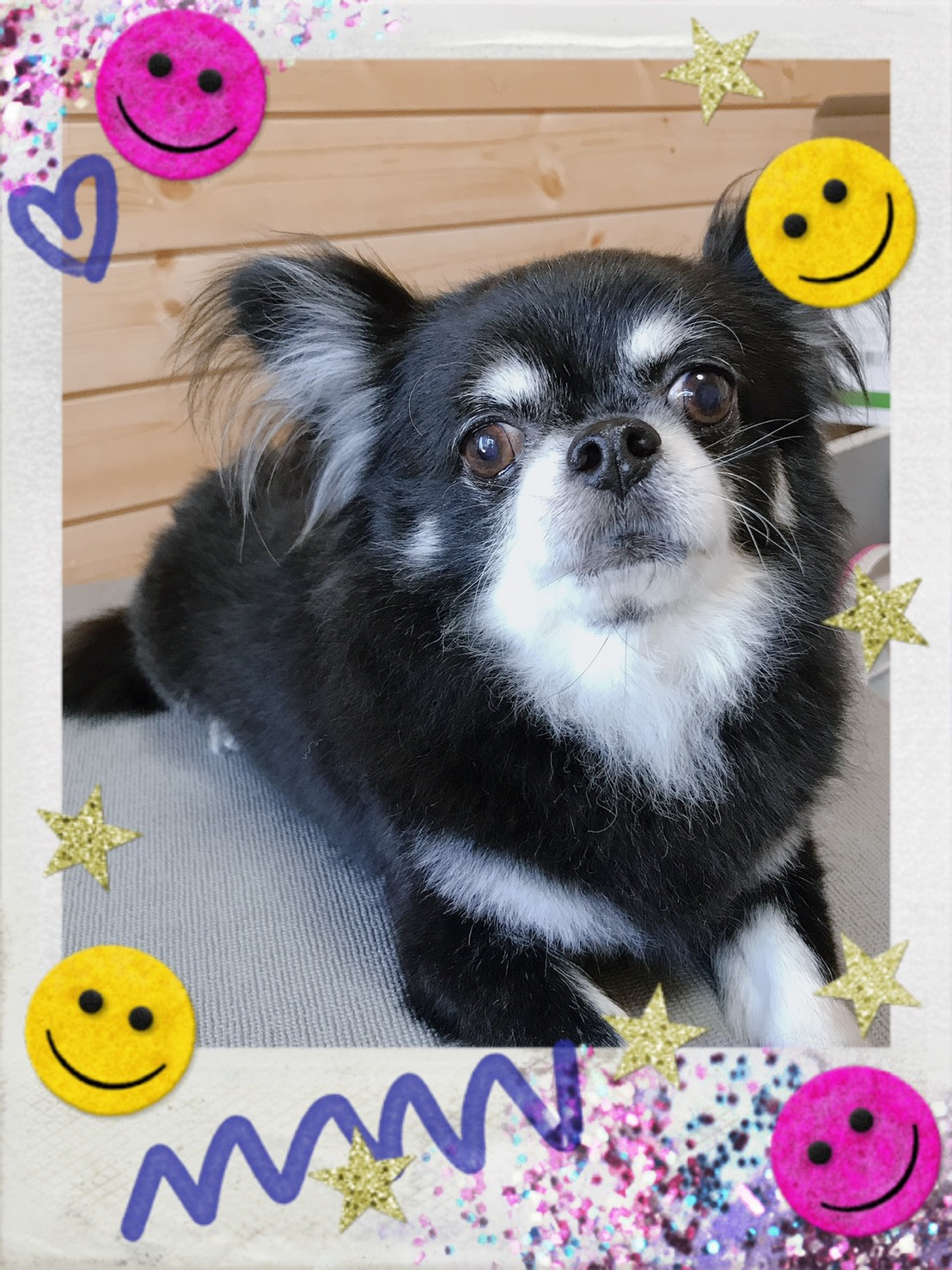 トリミング写真