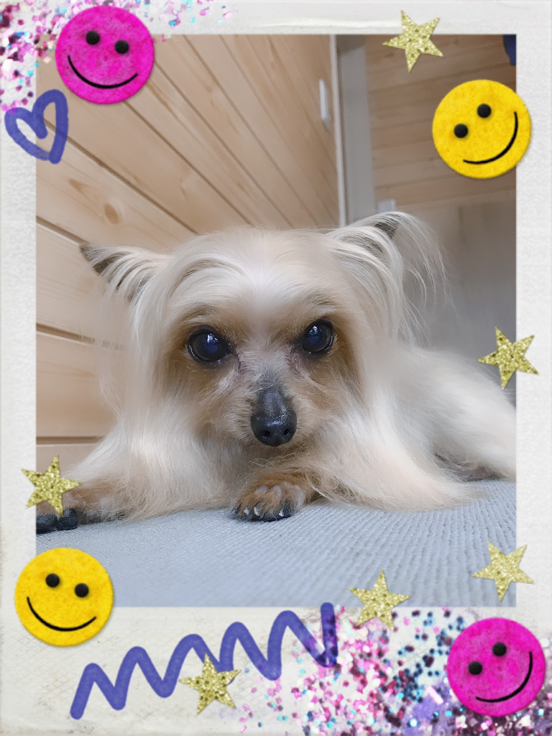 トリミング写真