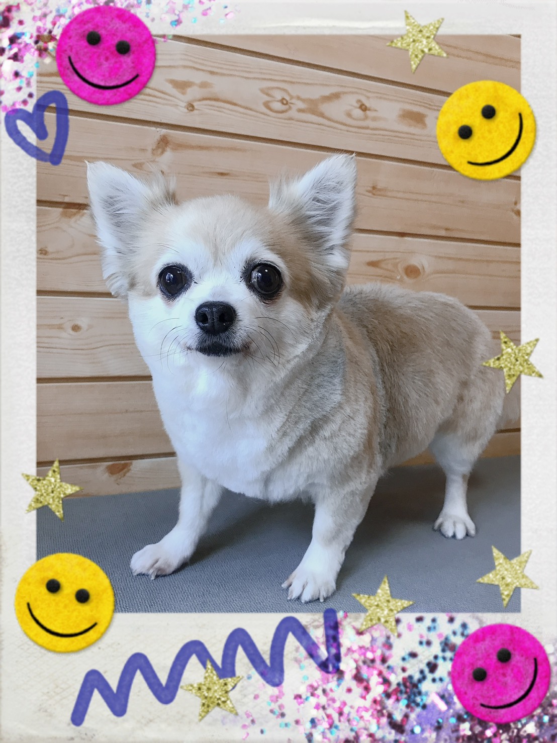 トリミング写真