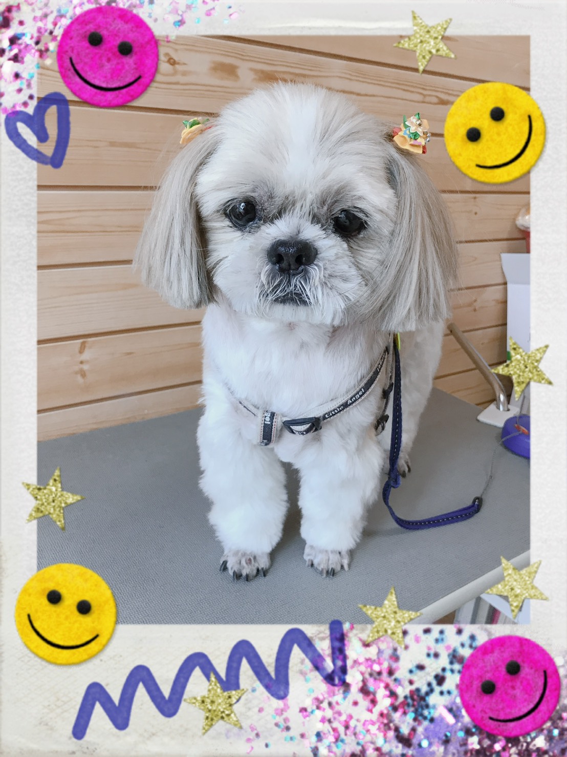 トリミング写真