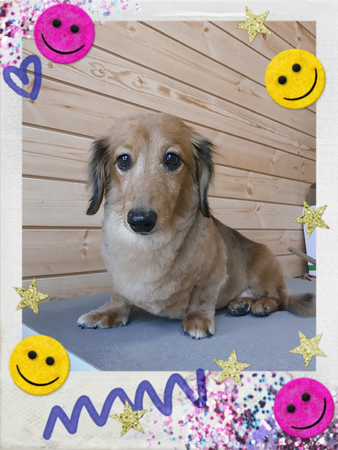 トリミング写真