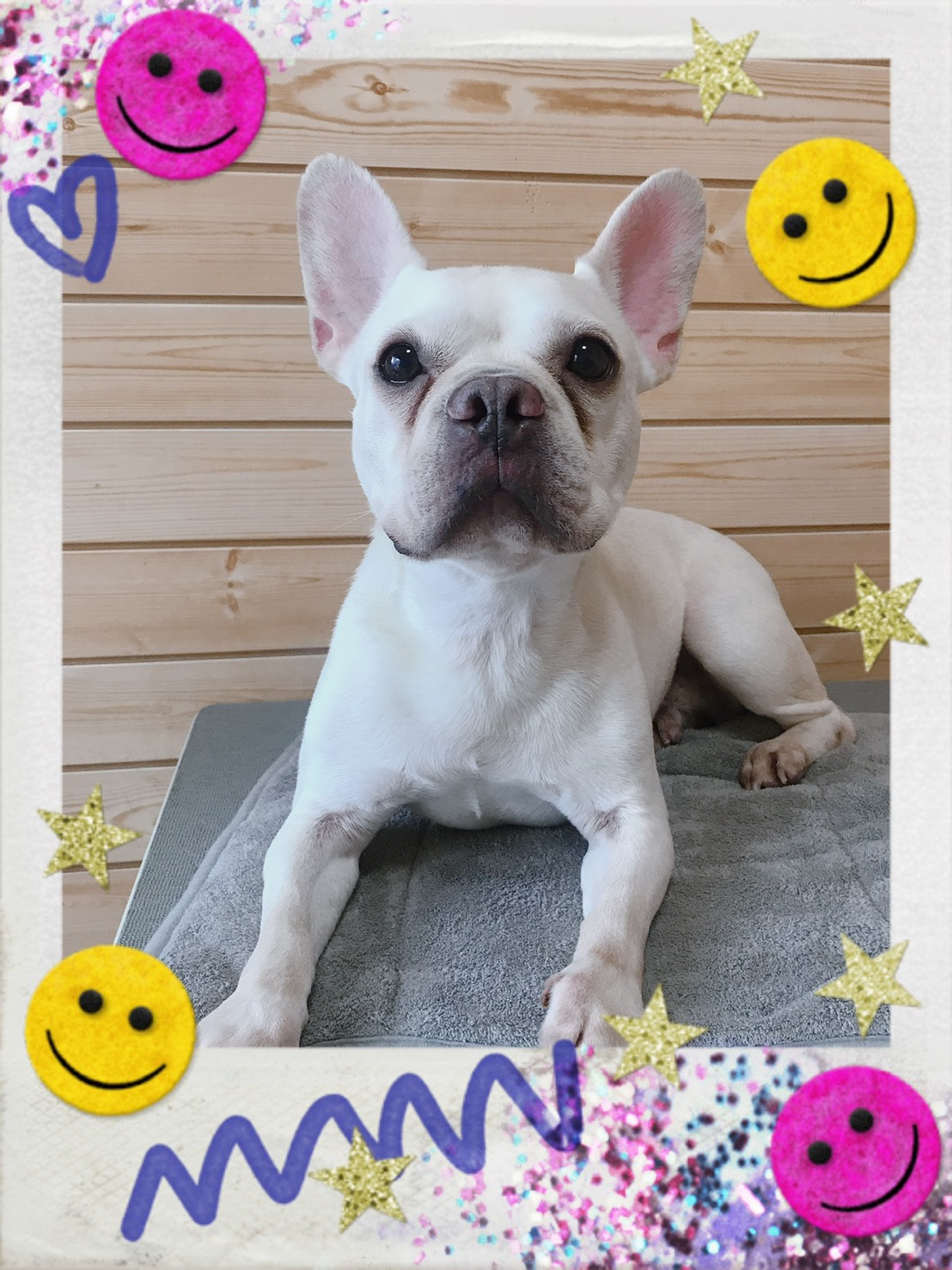 トリミング写真