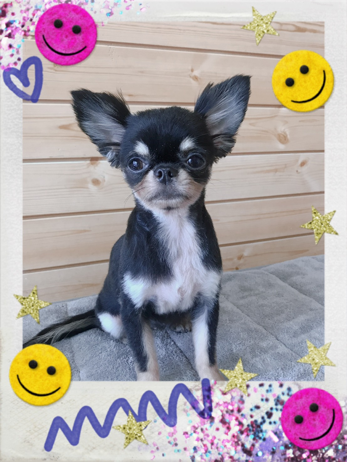 トリミング写真