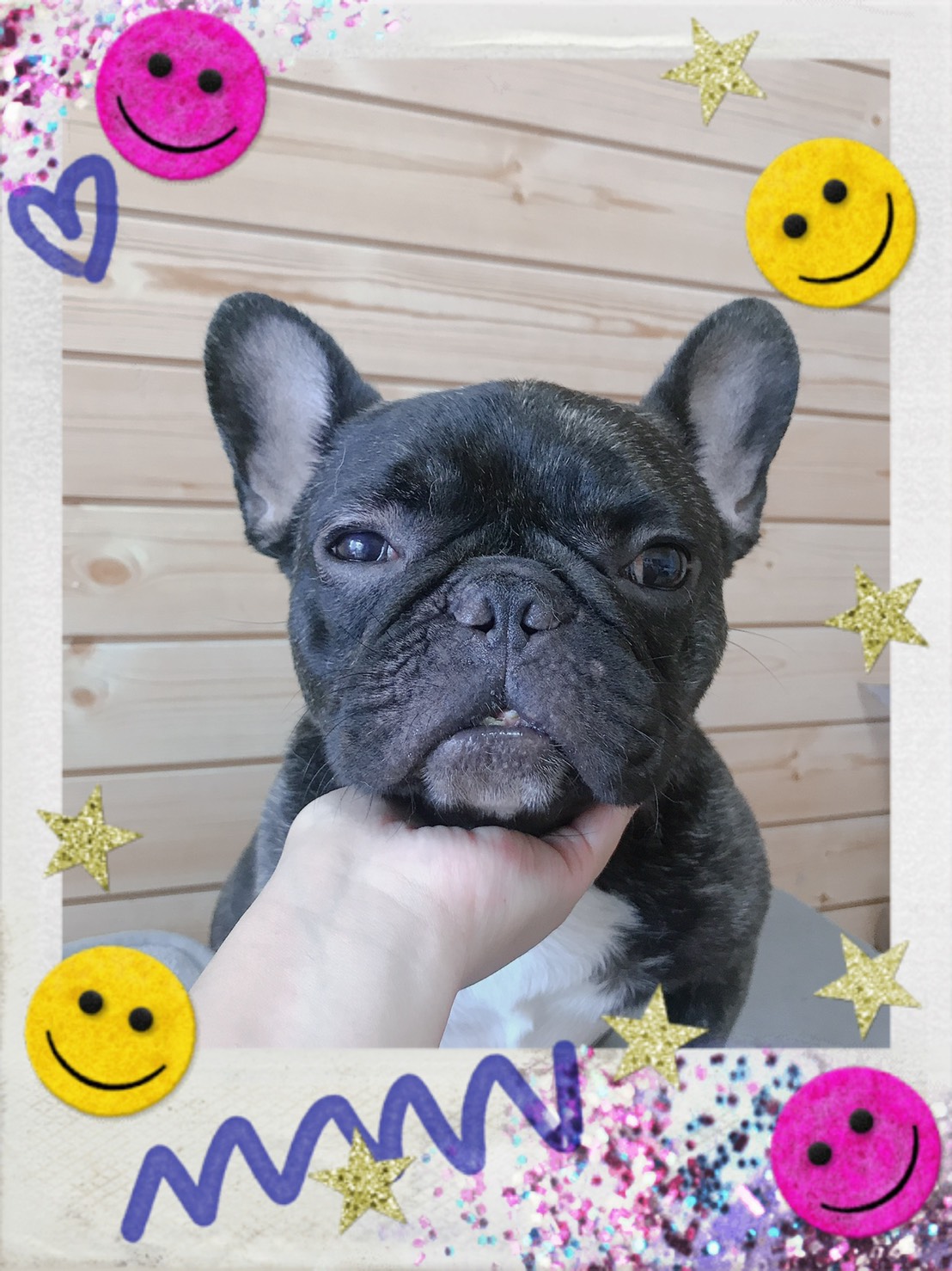 トリミング写真