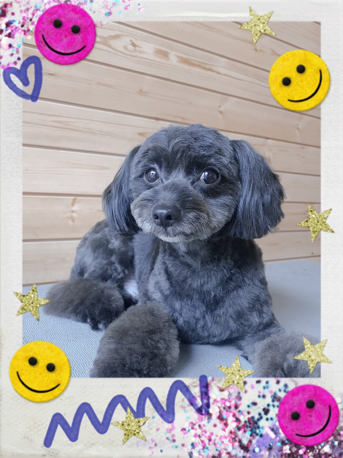 トリミング写真