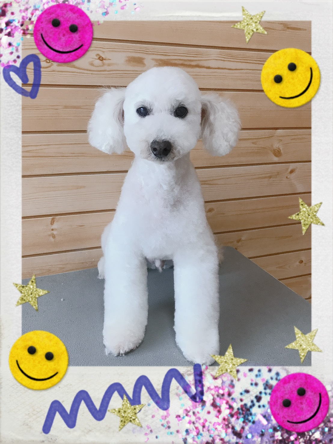 トリミング写真