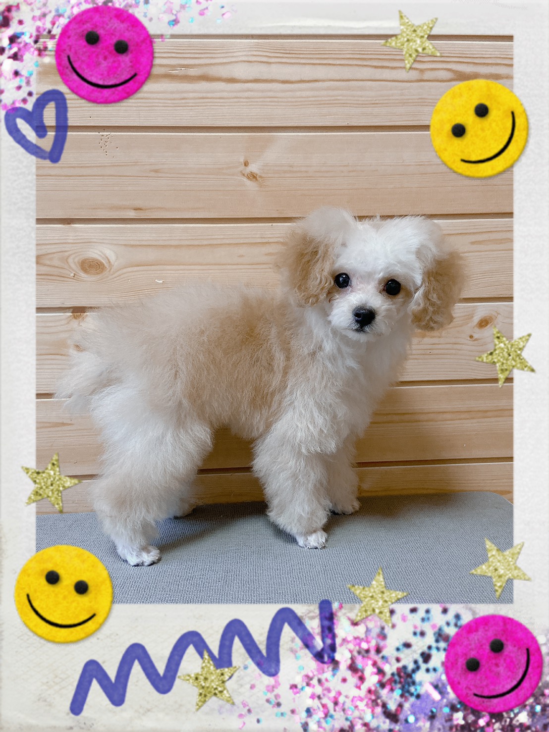 トリミング写真