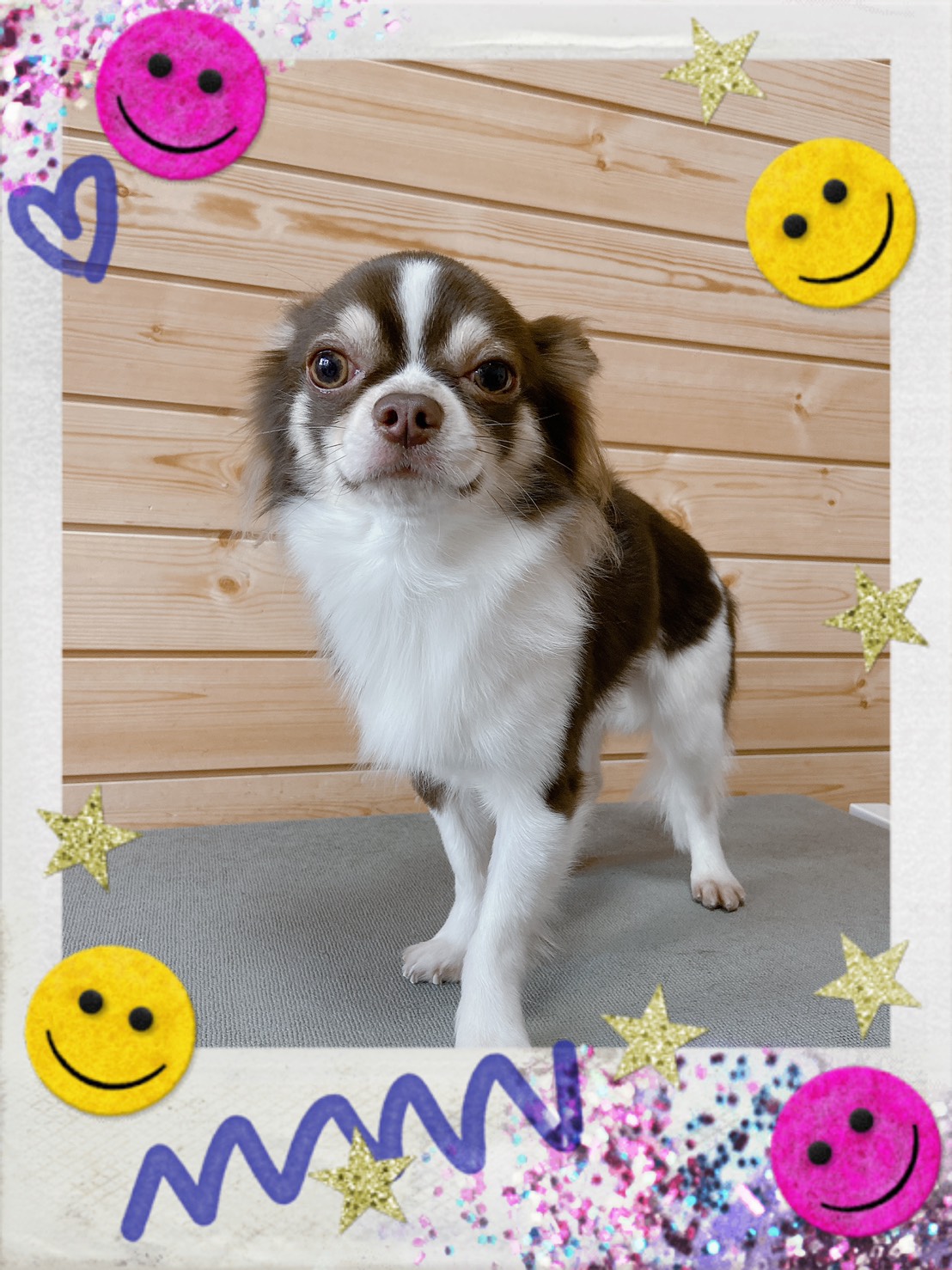 トリミング写真