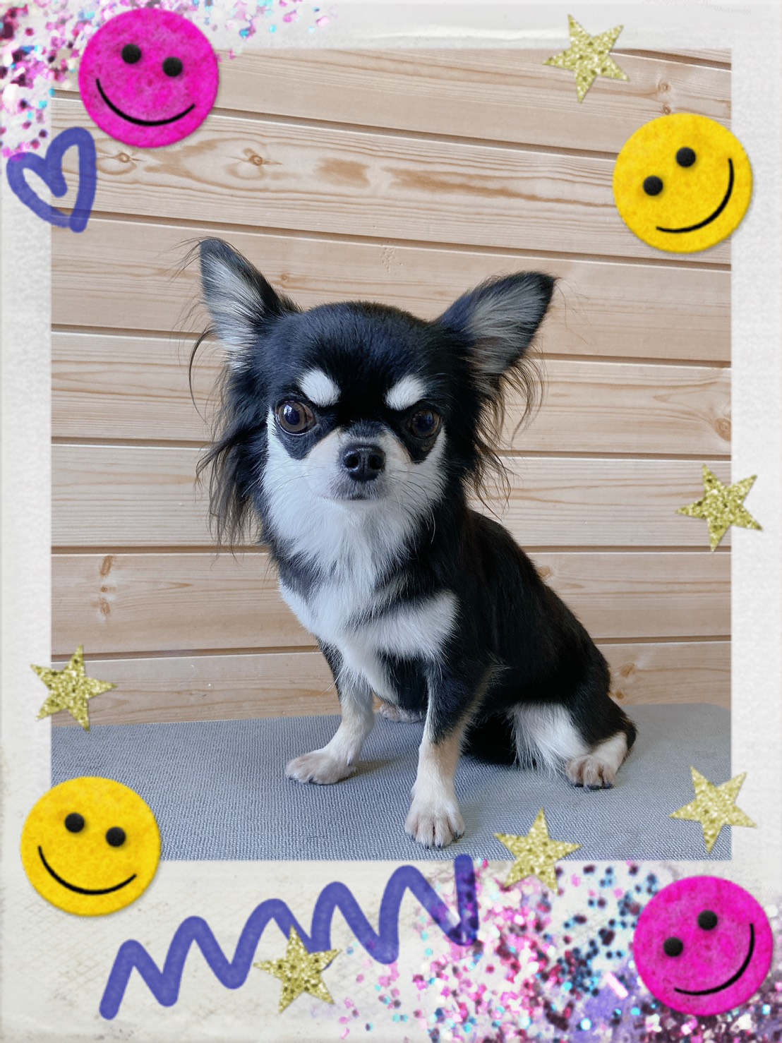 トリミング写真