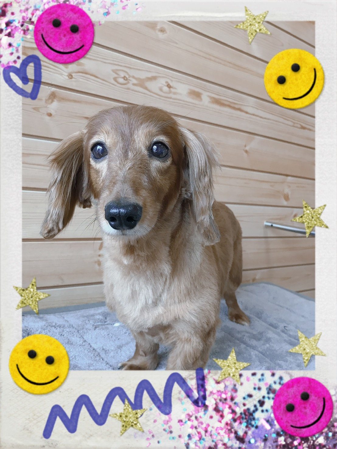 トリミング写真