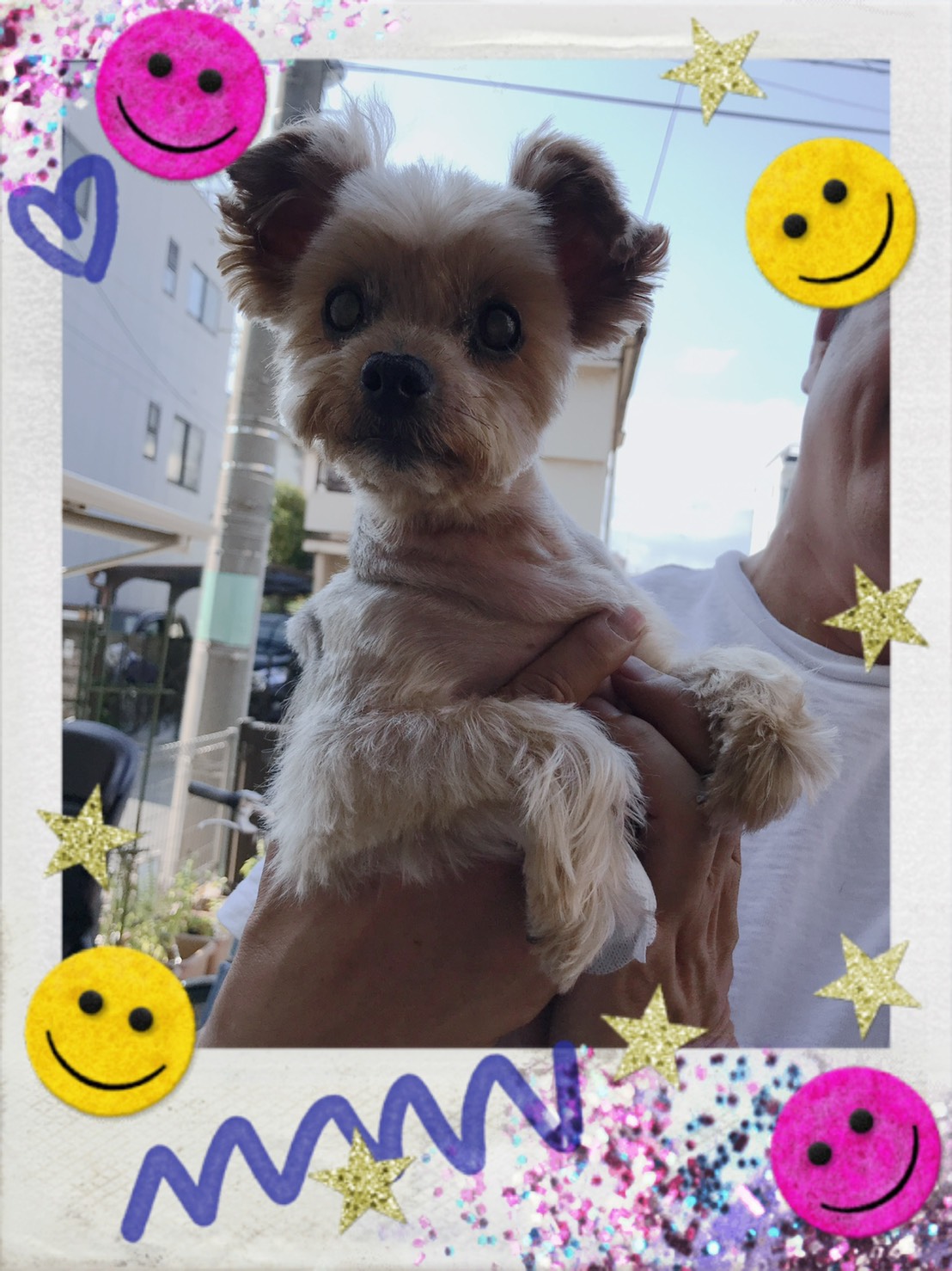 トリミング写真