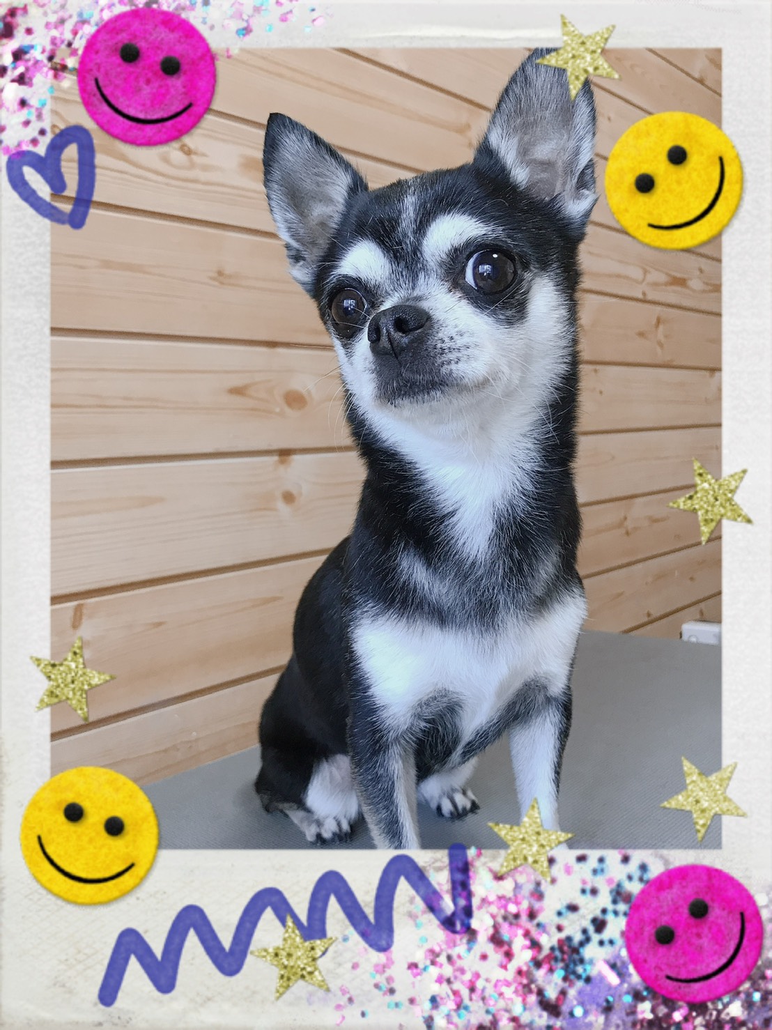 トリミング写真