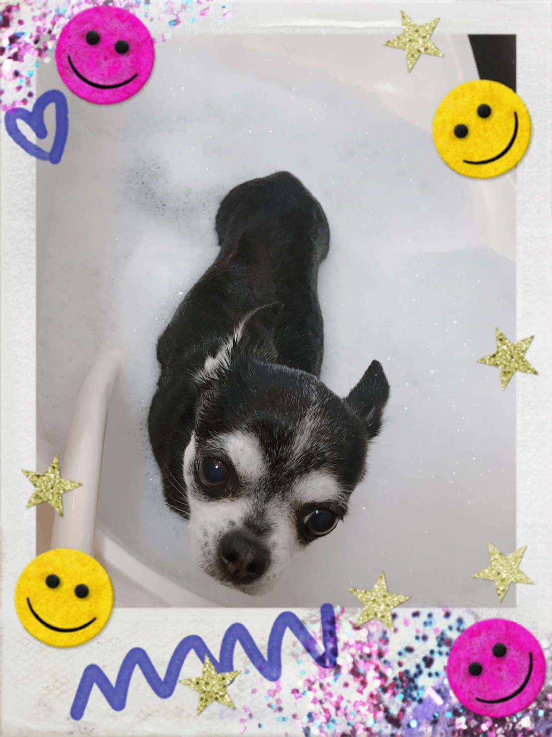 トリミング・アップルウォッシュ写真