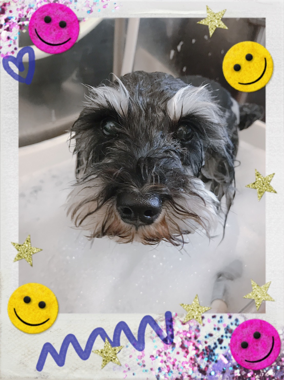 トリミング・アップルウォッシュ写真