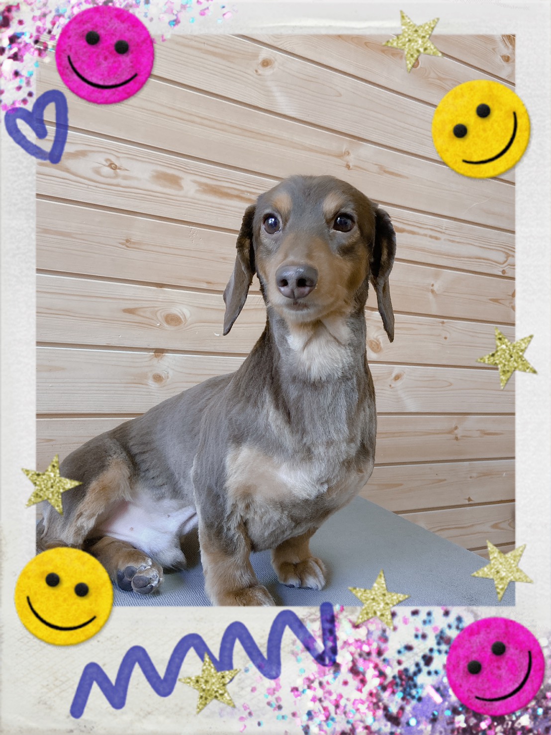 トリミング写真