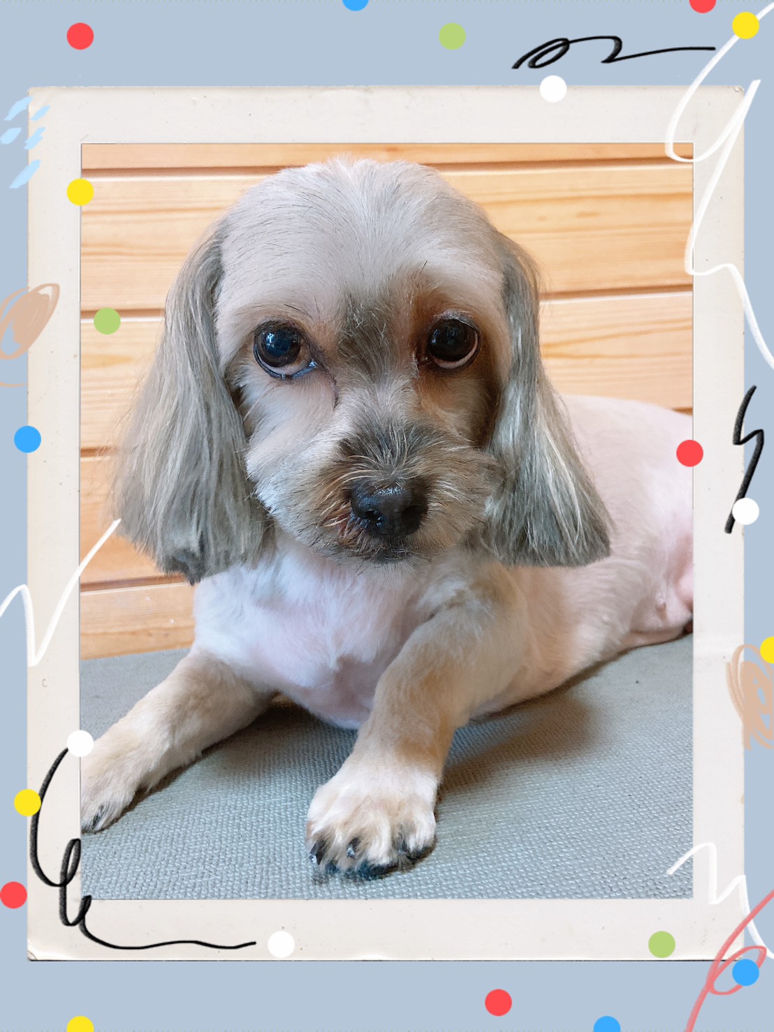 トリミング写真