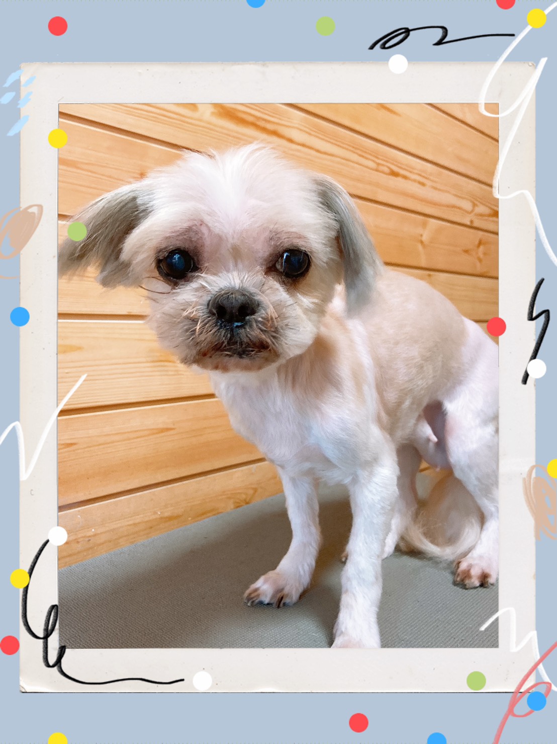 トリミング写真