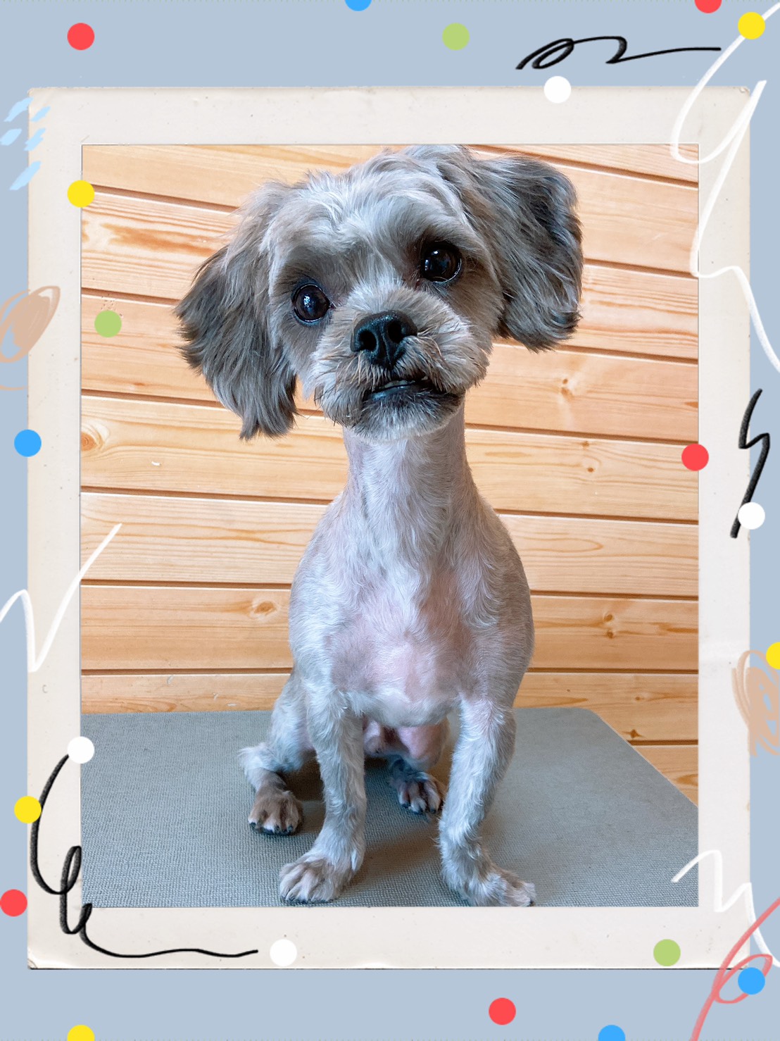 トリミング写真