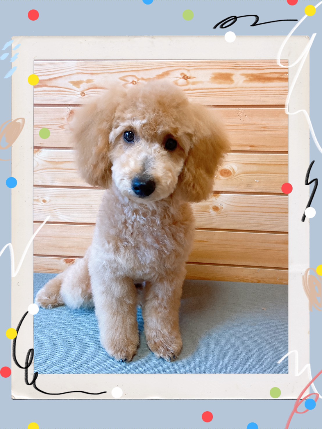 トリミング写真