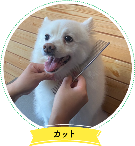 トリミングメニュー（犬）、カットメニュー（犬）